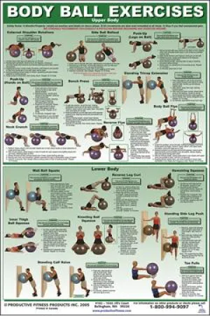 Body Ball Exercises Poster - Upper/Lower Body