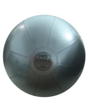 Fitness Mad 500Kg Studio Professional Fitness Swiss Ball Only - 55cm Graphite