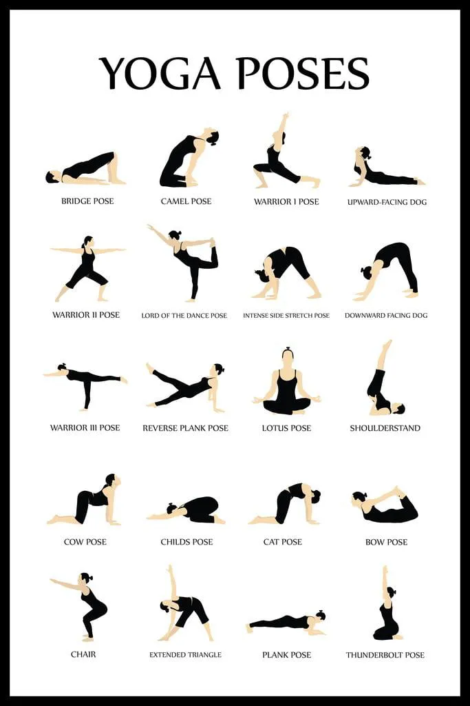 Laminated Workout Posters For Home Gym Yoga Poses